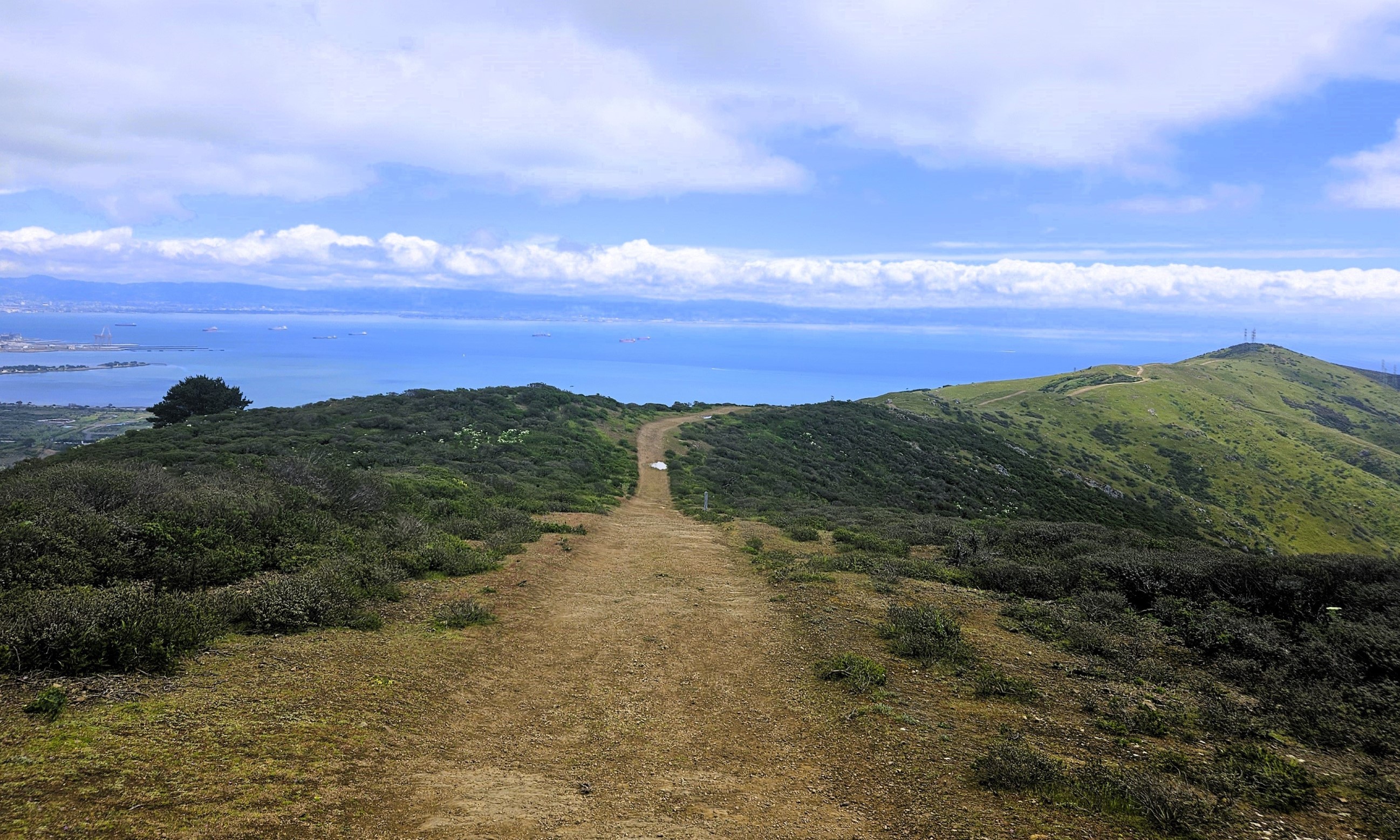 The SF Bay from the Ridge Trail