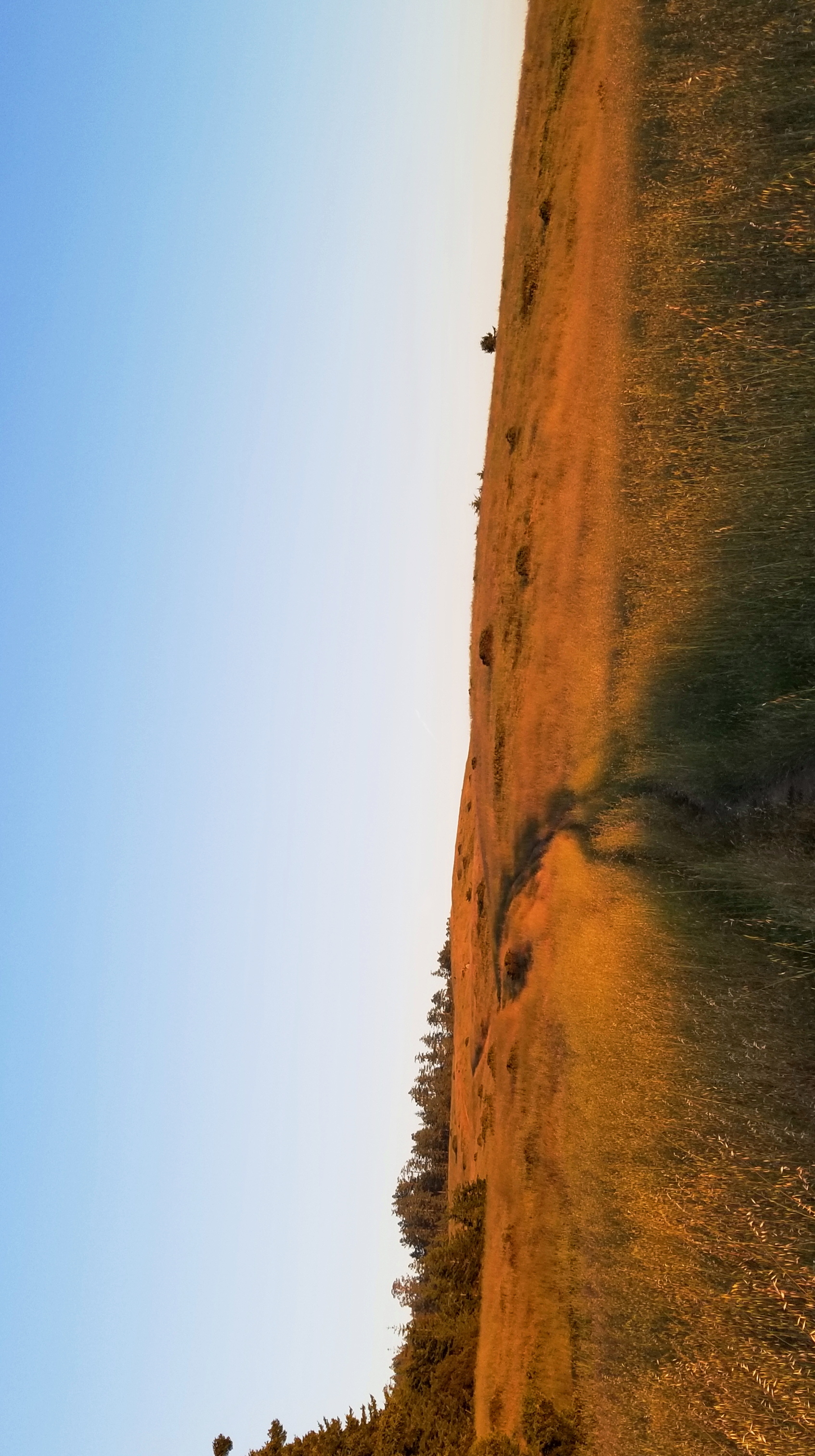 Trail to Wildcat Peak