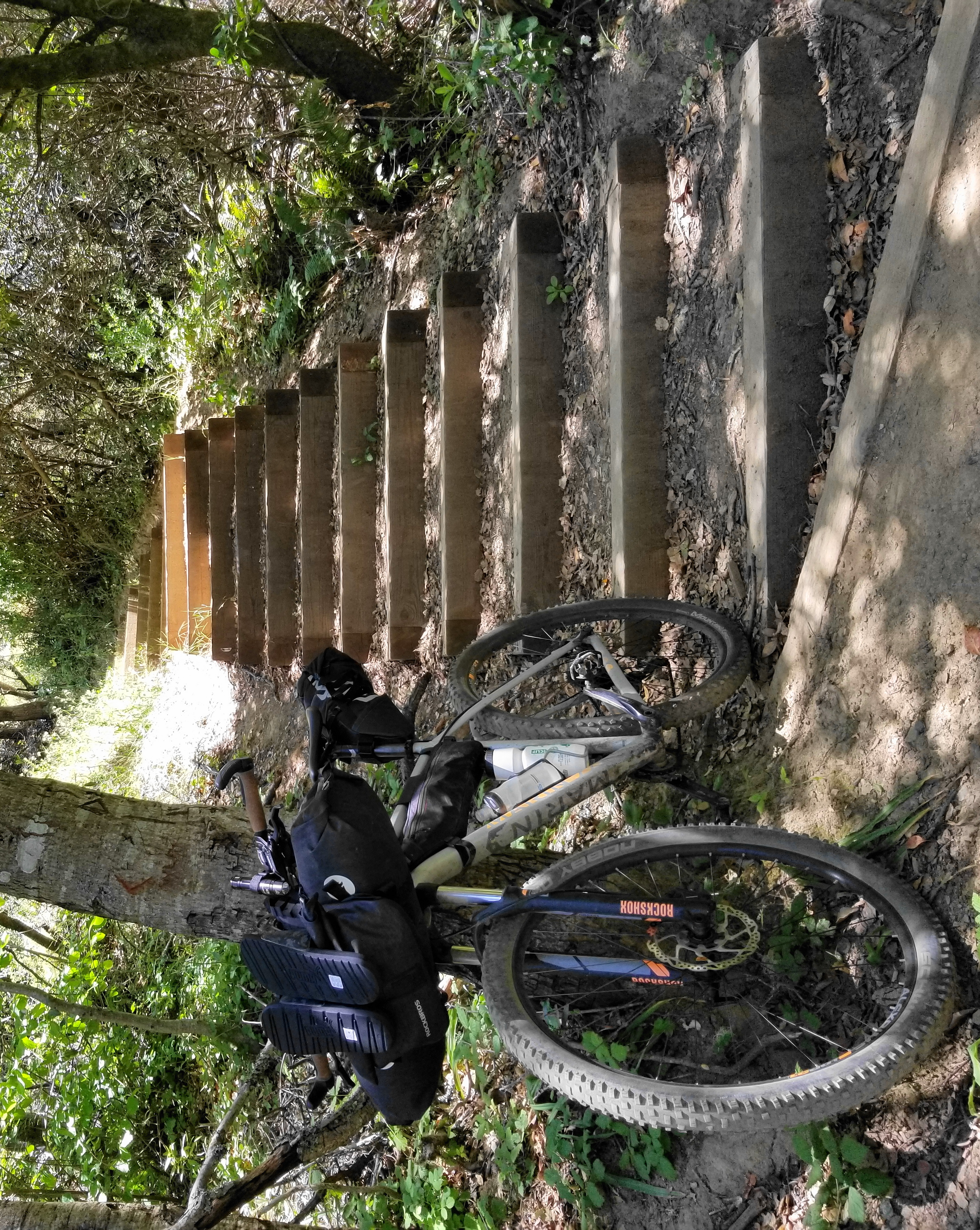 Trail to Wildcat Peak