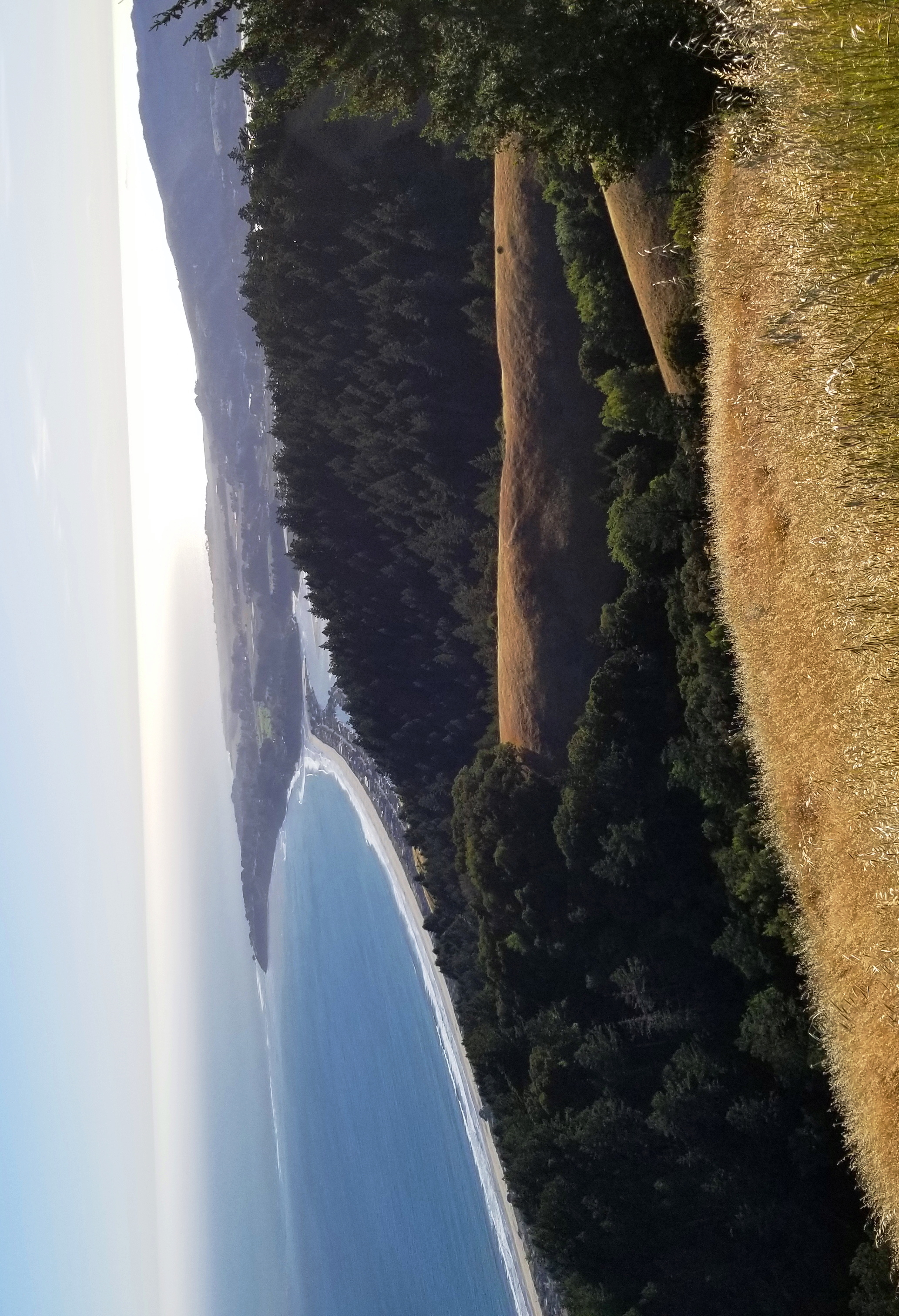 Trail to Wildcat Peak