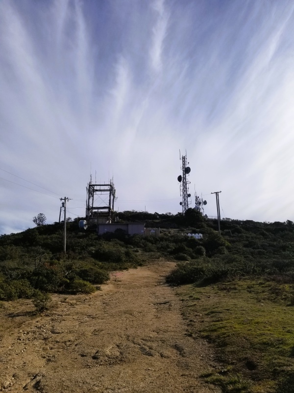 Trail to Wildcat Peak