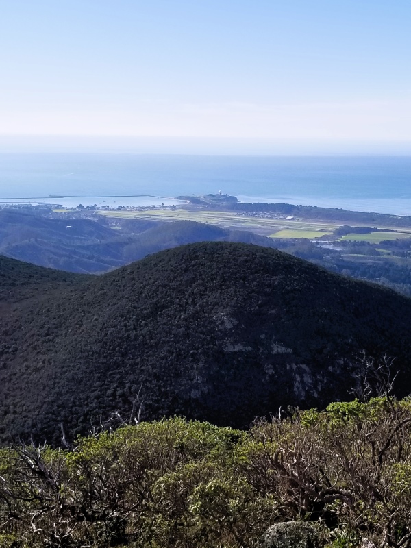 Trail to Wildcat Peak