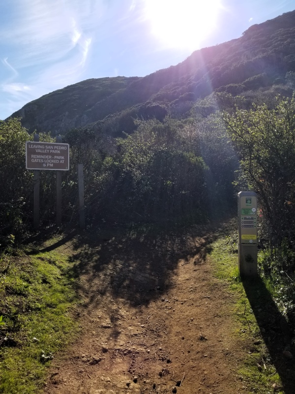 Wildcat Peak in the fog