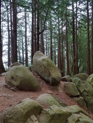 The view from Grizzly Peak